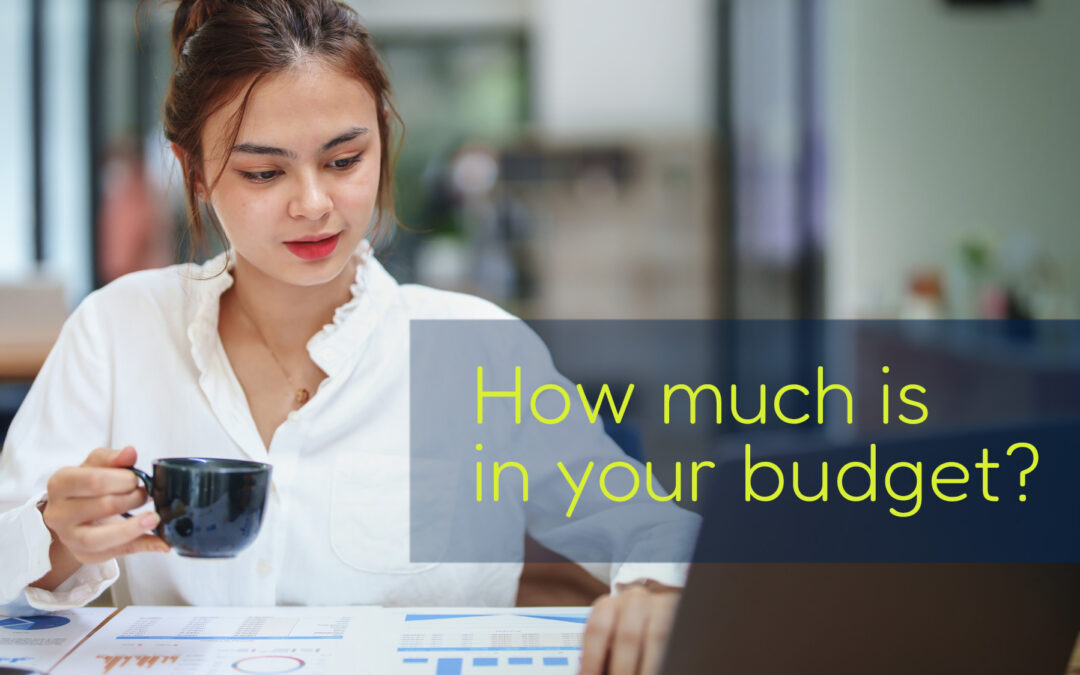 How-much-is-in-your-budget
